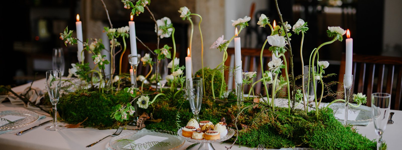 Diana Biro | Wedding & Private Events Planner