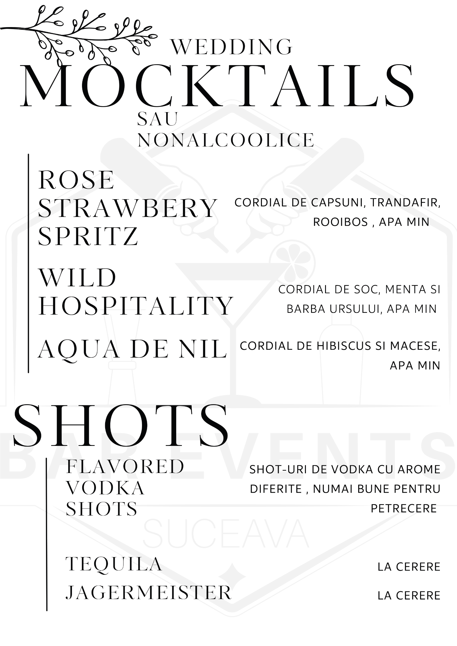 Bar Events Suceava - imagine 2