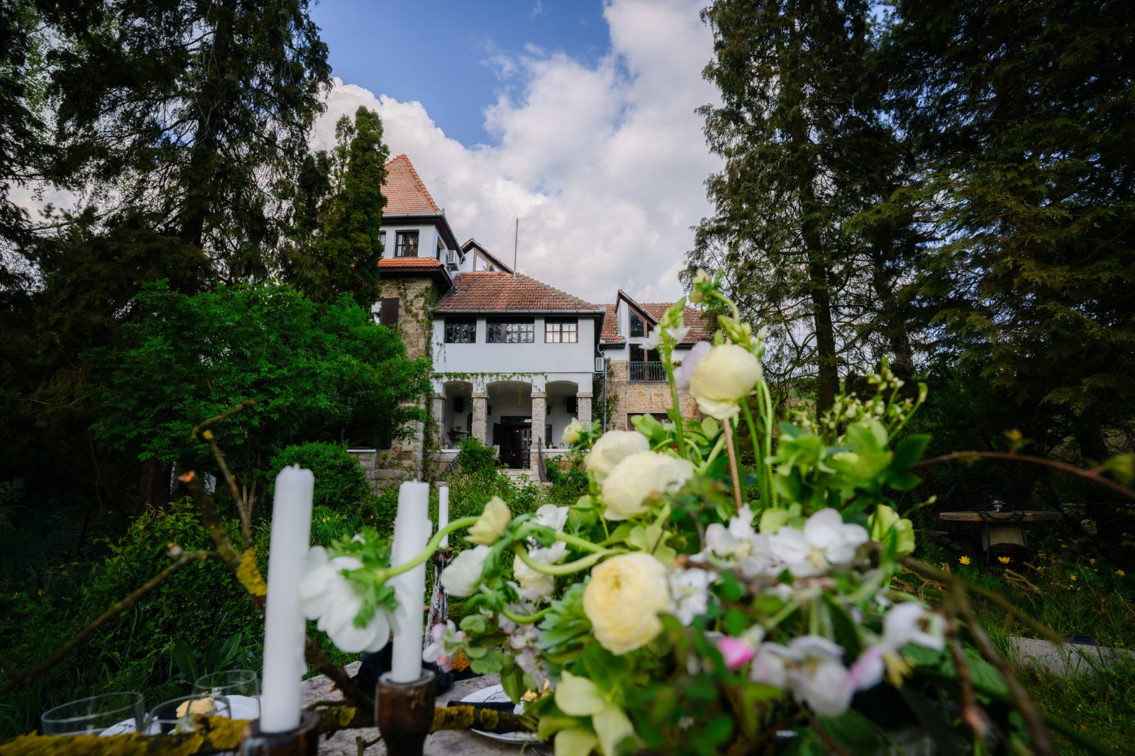 Diana Biro | Wedding & Private Events Planner - imagine 1